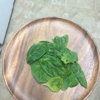 Spinach leafs on plate