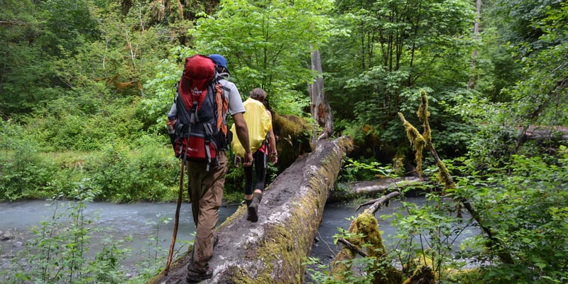 Group back packing along the river