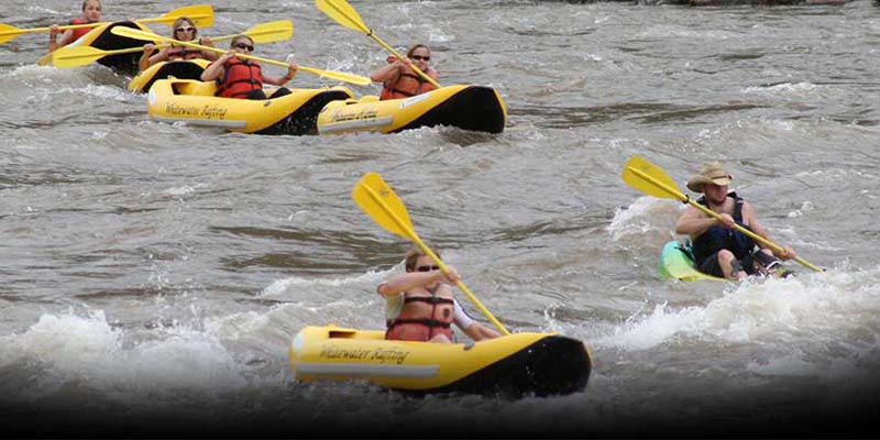 Group kayaking on the river